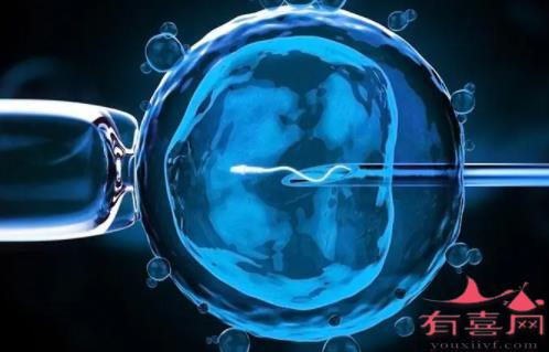 湛江附属医院试管婴儿那个医生好：冷冻胚胎和囊胚可以一起移植吗？