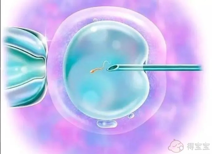 福州47岁供卵助孕：福建的哪些试管婴儿诊所最适合获取该技术？