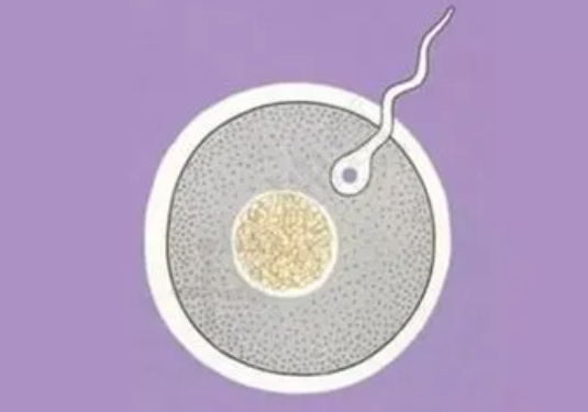 镇江41岁助孕：女性患卵巢排泄障碍的原因有很多，找准原因很重要