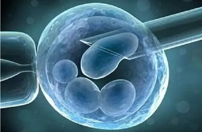 大连助孕中介网：移植期间的冲突对胚胎不利，情绪会严重影响植入