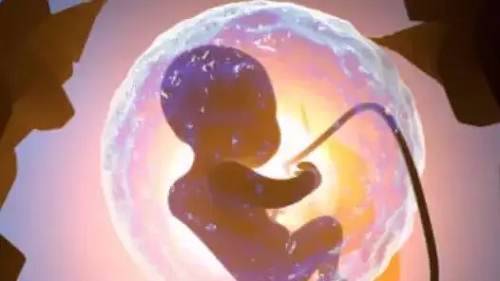 镇江助孕龙凤胎官网-试管婴儿移植后如何快速检测是否怀孕？试管婴儿成功后如何快速检测胎儿的心跳？