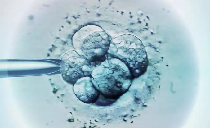 郑州借卵收费标准：移植前子宫内膜降幅小于5毫米是提高移植成功率的一个强制性标准。