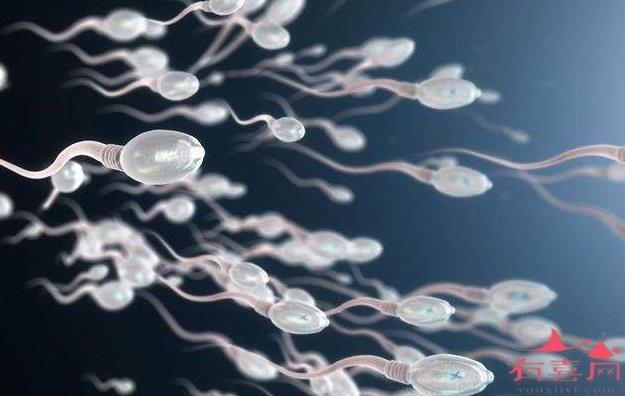 珠海助孕中介生殖中心-如何管理有足够活力的精子